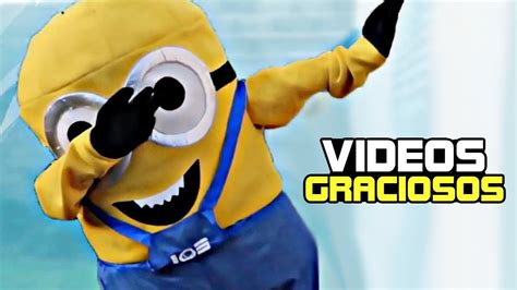 videos chistosos